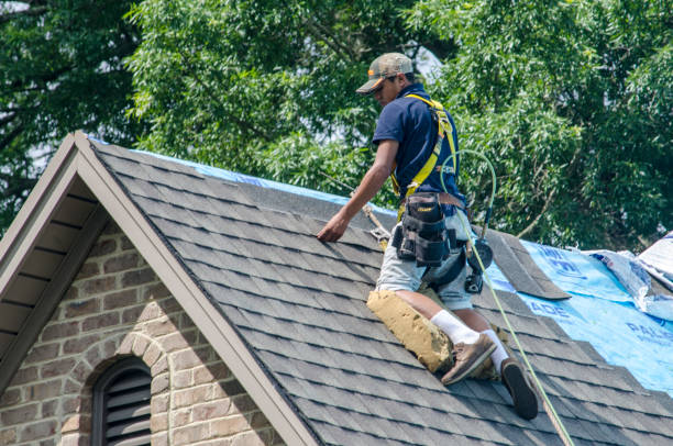 Roof Gutter Cleaning in Arcadia, FL